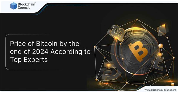 Price of Bitcoin by the end of 2024 According to Top Experts