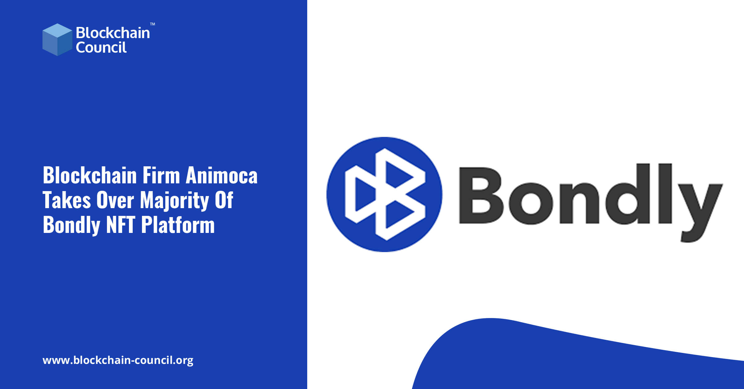 Blockchain Firm Animoca Takes Over Majority Of Bondly NFT Platform