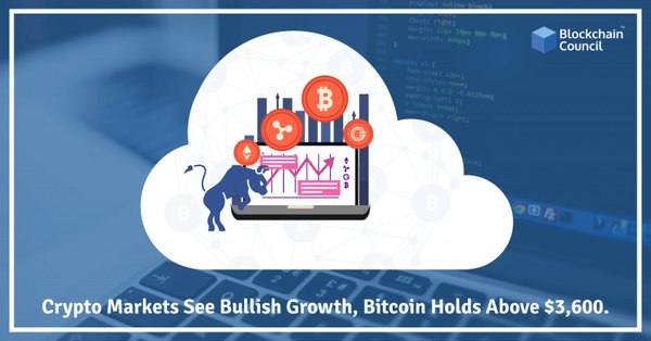 Crypto-Markets-See-Bullish-Growth,-Bitcoin-Holds-Above-$3,600