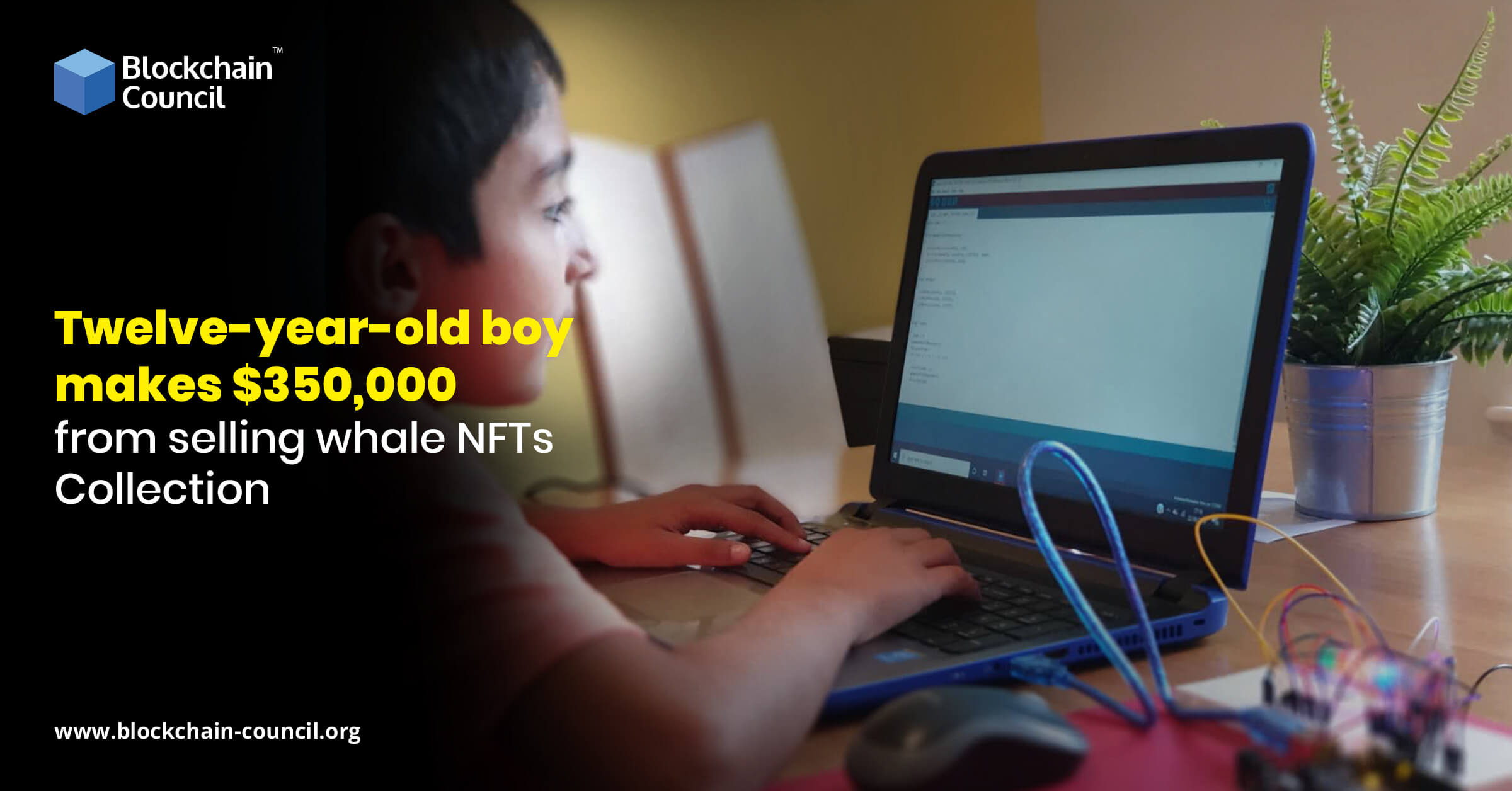 Twelve-year-old boy makes $350,000 from selling whale NFTs Collection