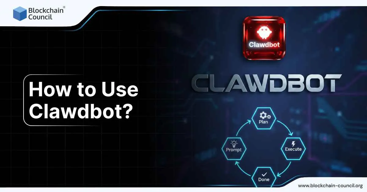 How to Use Clawdbot?